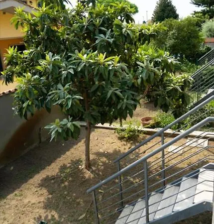 Isa Airport 3* Fiumicino